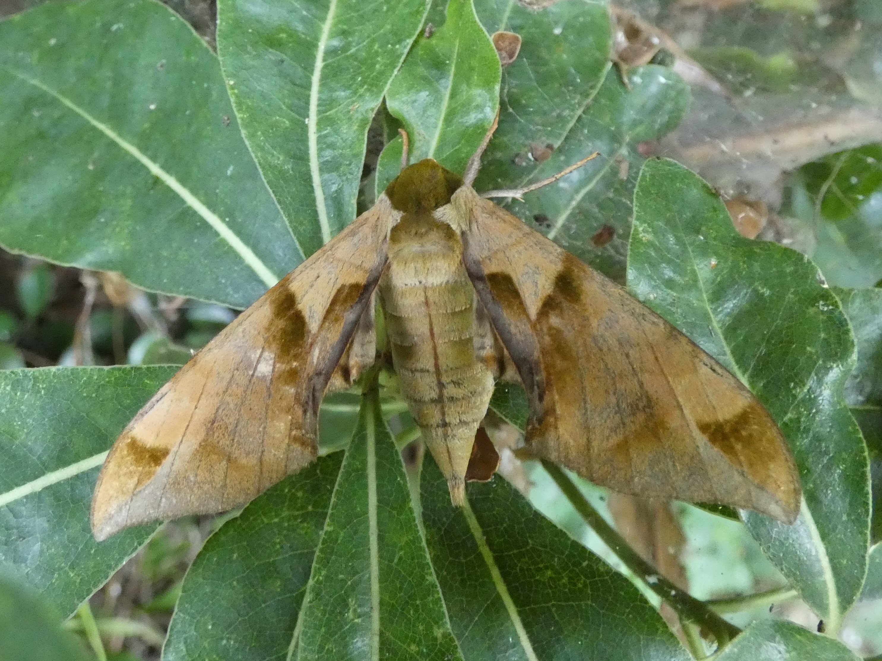 photo_1